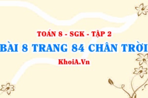 Bài 8 trang 84 Toán 8 Chân trời sáng tạo Tập 2